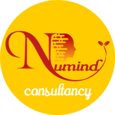 Numind Consultancy